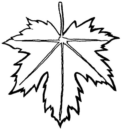 Кленовый лист раскраска