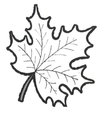 Трафареты осенних листьев