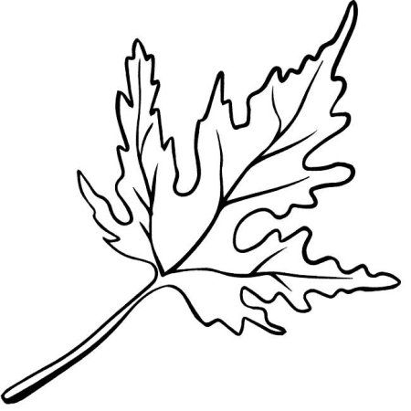 Силуэты осенних листьев для раскрашивания