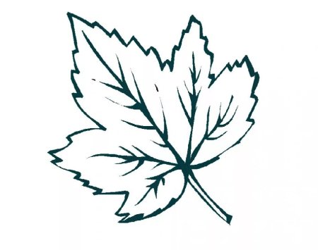 Трафареты "листья"