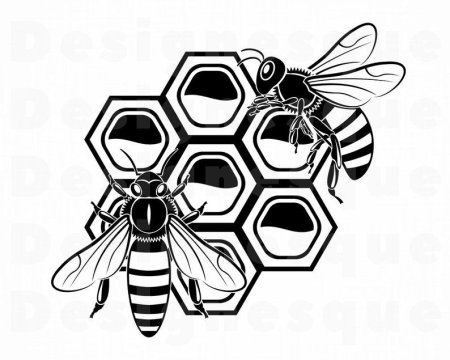 Пчела на сотах