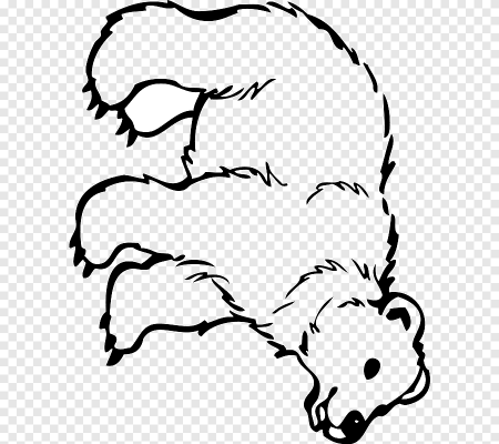 Медведь раскраска