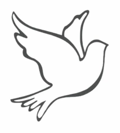 Голубь контур