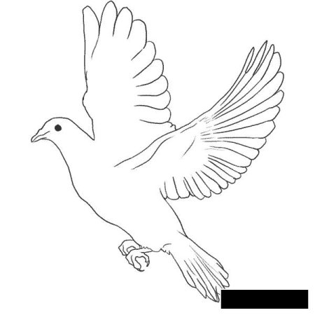 Трафарет голубя