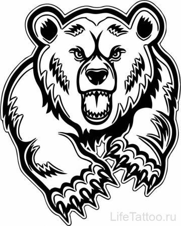 Медведь тату эскиз