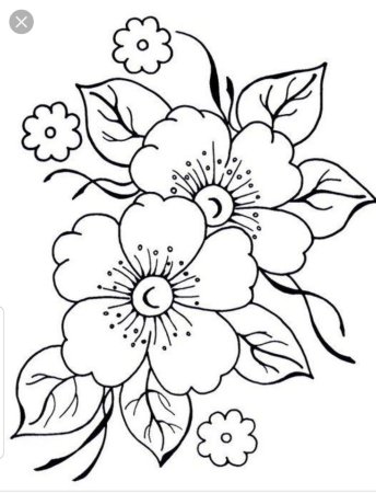 Рисунки цветов