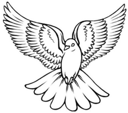 Голубь раскраска