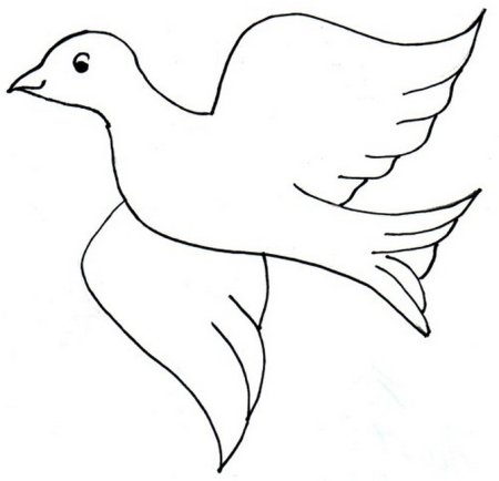 Голубь мира с веточкой