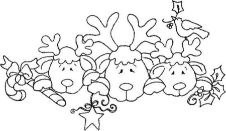 Раскраска новогодние цветы