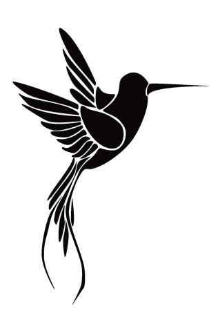 Красивые силуэты птиц