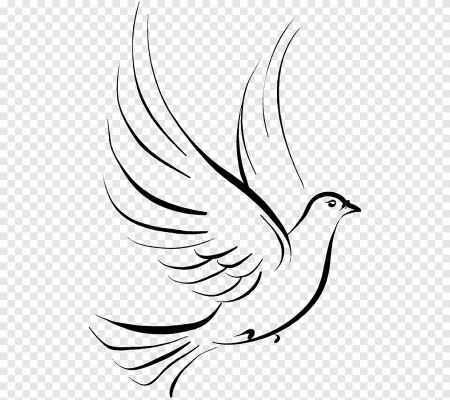Голубь рисунок