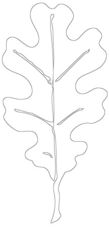 Лист дуба трафарет для вырезания