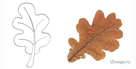 Дубовые листья шаблоны для вырезания