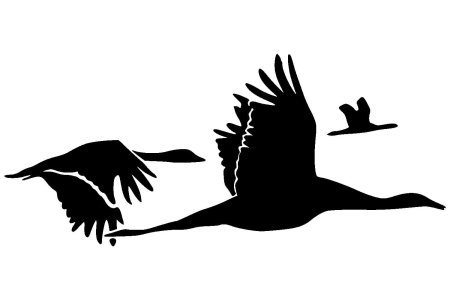 Журавль силуэт
