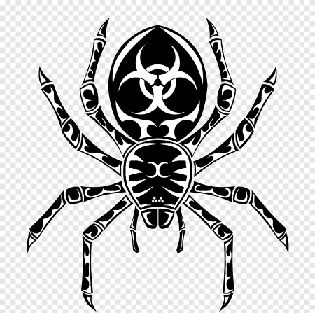 Паук тату эскиз