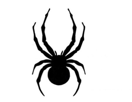 Рисунки пауков