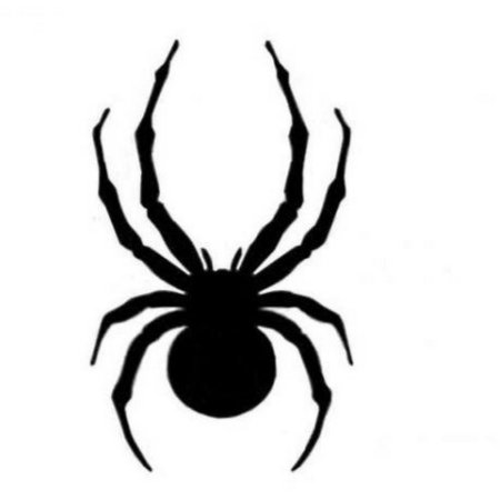Рисунки пауков