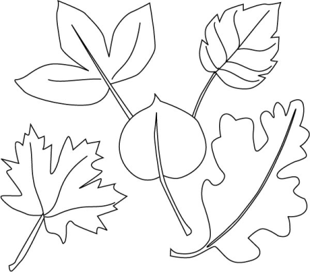 Грибы раскраска для детей