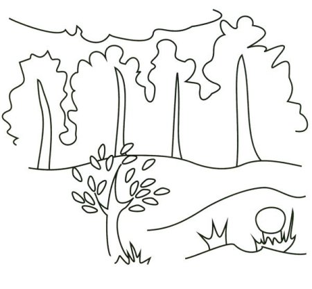 Осеннее дерево раскраска