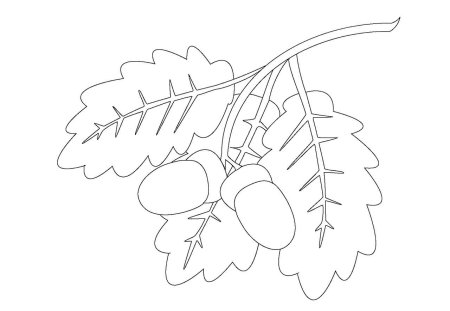 Раскраска листья деревьев для детей