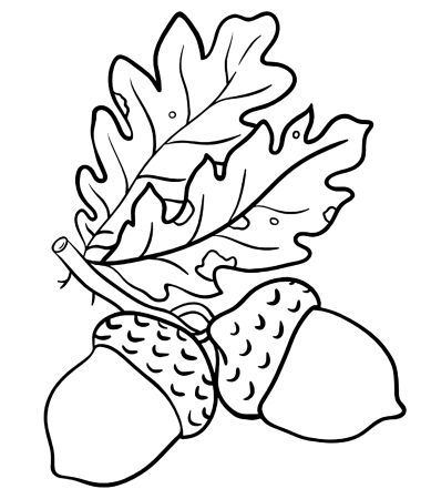Раскраска осень листья