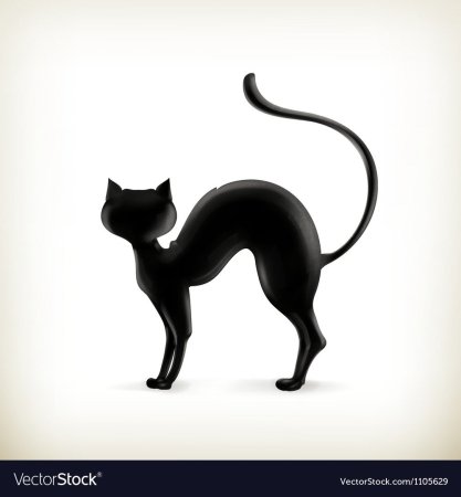 Черный кот с выгнутой спиной