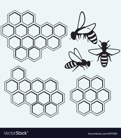Трафарет пчелиных сот