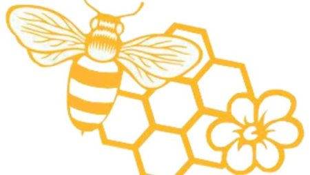 Трафарет пчелиных сот для торта