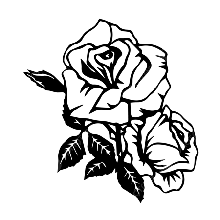 Черно-белый цветок