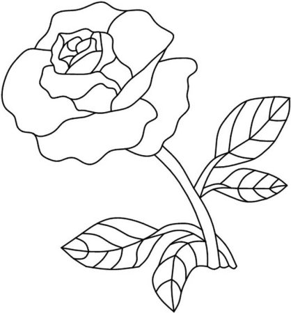 Контуры цветов для рисования