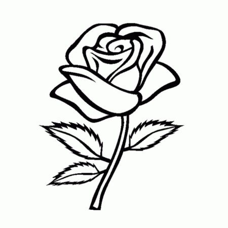 Цветы. Раскраска