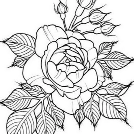 Эскиз цветы контур