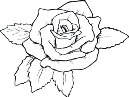 Трафарет розы для раскрашивания