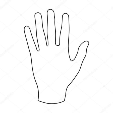 Ладошка рисунок контур