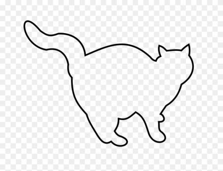 Контуры животных