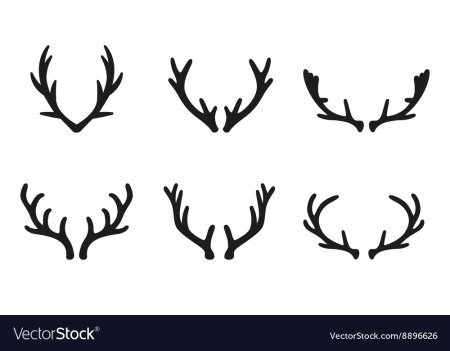 Рога оленя сбоку вектор