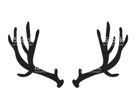 Рога оленя для конкурса