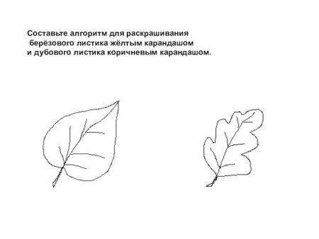 Трафарет листочка березы