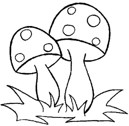 Мухомор раскраска