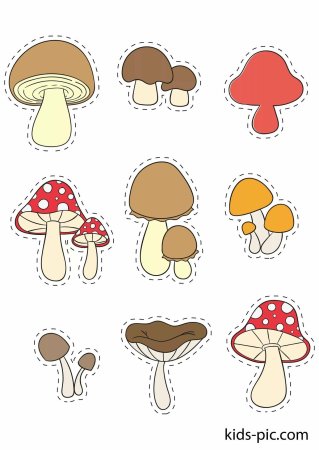 Трафарет "грибы"