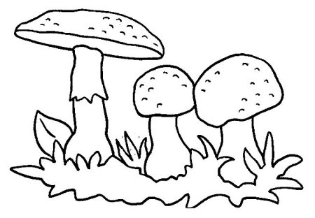 Разукрашка гриб мухомор