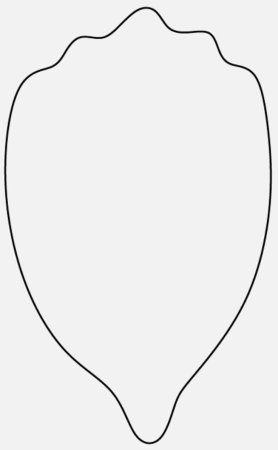 Лепесток ромашки