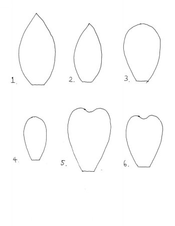 Листик шаблон