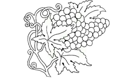 Виноград для выжигания по дереву