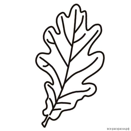 Дубовый лист раскраска