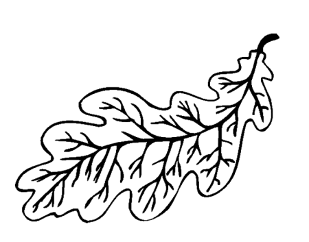 Лист дуба раскраска