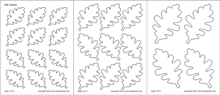 Трафареты листьев дуба