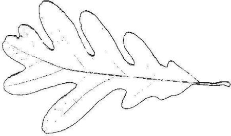 Дубовый лист трафарет для вырезания