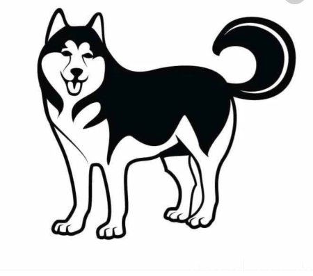 Сибирский хаски