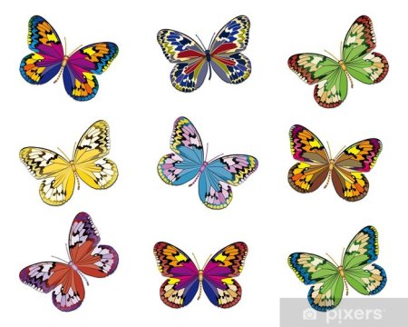 Бабочки для вырезания цветные